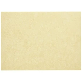 Nagao 6160 Placemats, Unexposed, 7.5 x 10.2 inches (19 x 26 cm), Set of 100, Made in Japan