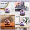 Emibele Gifts for Mom Flowers for Delivery, Birthday Gifts for