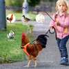 Yesito Chicken Harness Hen Size with 5.5ft Matching Leash –