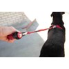 EzyDog Cujo Shock Absorbing Bungee Dog Leash - Best Dog