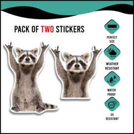 Sticky Expressions | Rocking Raccoon Stickers (2 Pcs) - Strong Adhesive, Waterproof, Funny Raccoon Cute Car Decal, Sizes 5" x 3.5" and 3.75" x 3.5" - Perfect for Vehicles, Laptops, Tumblers etc.