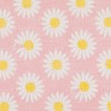 Shirayuki Yuzen Dish Towel, Made in Japan, Chlorine Bleach, Supple