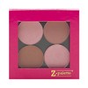 Z Palette Small Hot Pink