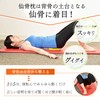 Spine Conditioning Association Sacral Pillow | Stretching, Training Goods, Equipment,