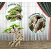 Novelsite Fish Tank Decoration- Cliff Bonsai Trees with Faux Moss-