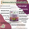 Ayushya Gymnema Sylvestre (Madhunaashini) Capsule, 500 mg Pure Extract, 60