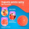 Fancy Pets Juguete d Pelota de Caucho Spiny para Perro
