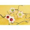 Staedter Daffodil Cookie Cutter, Silver, 4.5 cm