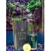 Maison Alhambra Sceptre Malachite for Unisex Eau de Parfum Spray,