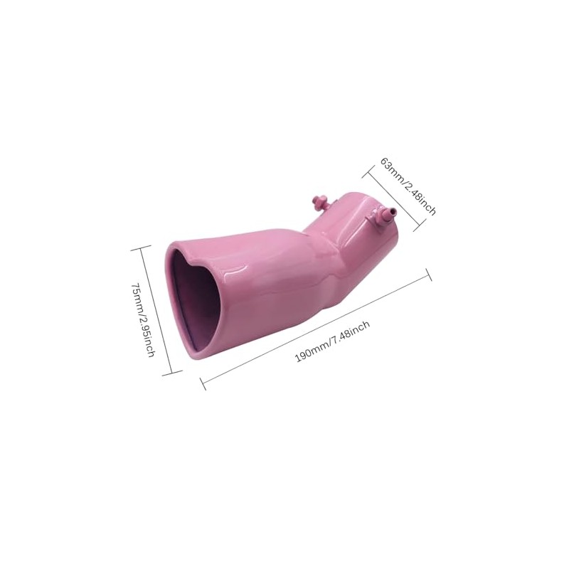 OtpOutopa Car Exhaust Tip 2.5 inch Inlet, Universal Car Exhaust