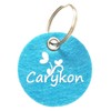 Carykon 100 PCS Fuzzy Chenille Stems Pipe Cleaners for Arts
