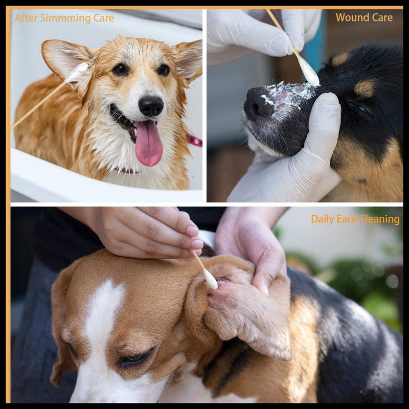 eyxformula 6 Inch Long Cotton Swabs for Pet Cleaning, Bamboo