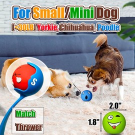 HOLYSTEED Soft Latex Squeaky Balls for Small Dogs, 6-Pack Smile Face Squeaky Dog Toys - 2-Inch Rubber Bouncy Fetch Toys, Assorted Colors for Indoor Outdoor Puppy Play