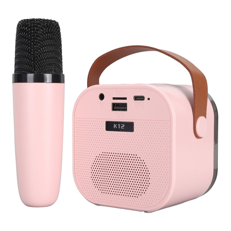 Portable Karaoke Machine LED Dynamic Light Small Bluetooth Speaker with
