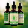Chlorophyll Liquid Drops All Natural Concentrate Energy Booster Digestion and