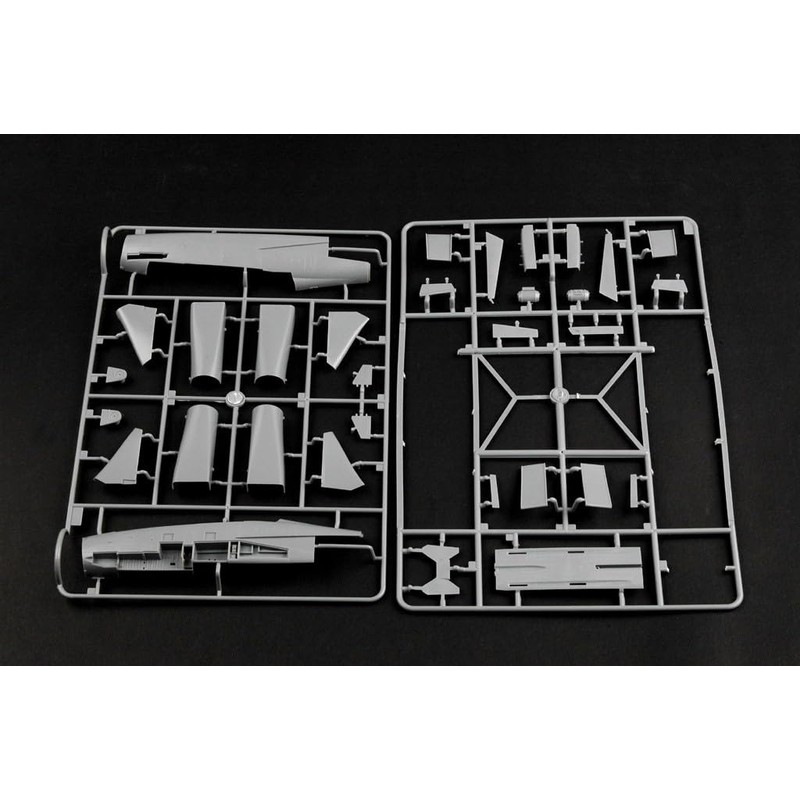 Hobby Boss HY80367 F-14B Tomcat Airplane Model Building Kit