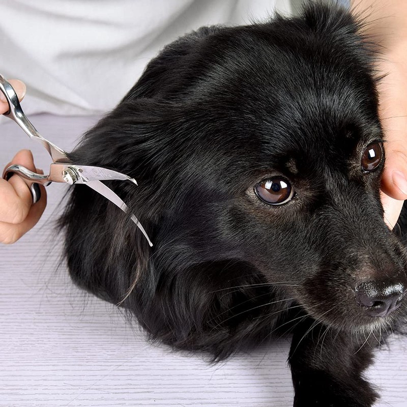 Chibuy Curved dog grooming scissors with Round Tips, Pet Shear