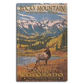 Lantern Press Rocky Mountain National Park - Colorado - Fall and Elk (10x15 Wood Wall Sign, Wall Decor Ready to Hang)