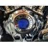 Indian Motorcycle, 111 Engine, Cam Cover Headdress Decal, Sticker, Emblem