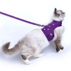 Yizhi Miaow Cat Harness and Leash for Walking Escape Proof