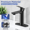 Herogo Bathroom Sink Faucet 1 or 3 Holes, Matte Black