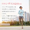 【リプサ公式】 コエンザイムQ10 約1か月分 C-308 健康 サプリメント