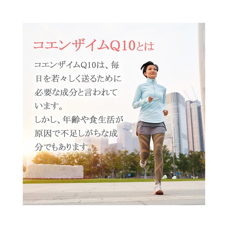 【リプサ公式】 コエンザイムQ10 約1か月分 C-308 健康 サプリメント