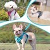 Adjustable Cat Harness, Escape-Proof, Cat Harness with Lead Set, Soft