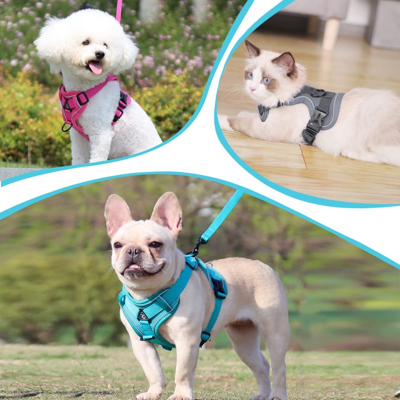Adjustable Cat Harness, Escape-Proof, Cat Harness with Lead Set, Soft