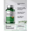 Brown Seaweed Capsules 2000mg | 200 Count | Fucoxanthin Supplement