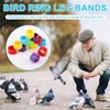 200pcs Poultry Anklets, 0.3 Inch Bird Rings Leg Bands Plastic