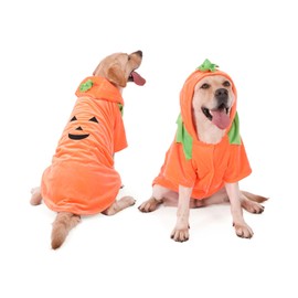 FLAdorepet - Disfraz grande de calabaza para perro, disfraz de Halloween de Acción de Gracias, vestido de fiesta, chamarra de invierno para perro, ropa divertida para labrador Bulldog (naranja, 2XL)