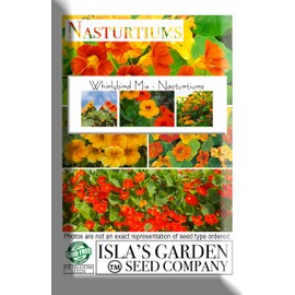 WhirlyBird Mix Nasturtium Flower Seeds for Planting, 50+ Seeds Per Packet, (Isla's Garden Seeds), Non GMO & Heirloom Seeds, Scientific Name: Tropaeolum nanum, Great Home Garden Gift