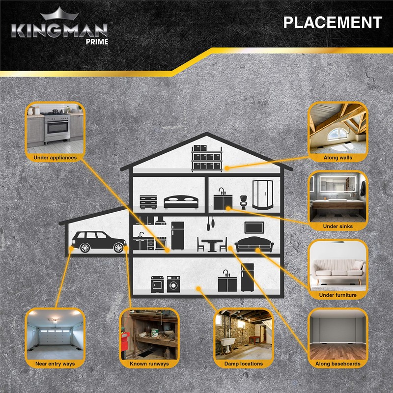 Kingman Prime Rat Mouse Rodent Pest Glue Trap (Large Size)