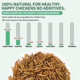 FCI GRUBS High Calcium, Non-GMO, 10LB Dried Black Soldier Fly Larvae for Chickens, 60-100X More Calcium Than Mealworms,Treat for Laying Hen, Ducks, Wild Birds,Turtles