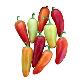 Santa Fe Grande Guero Pepper Premium Seed Packet