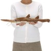 Carolata Saw Shark Plush Toy (Inspected 2 Times) Animal [Gentle