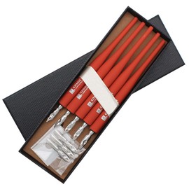 SIPLIV Plastic Professional Manga Gothic Pen Dip Pen Set with 5 Nibs Manga Calligraphy Drawing Pen Kit - 5 Pcs, Red