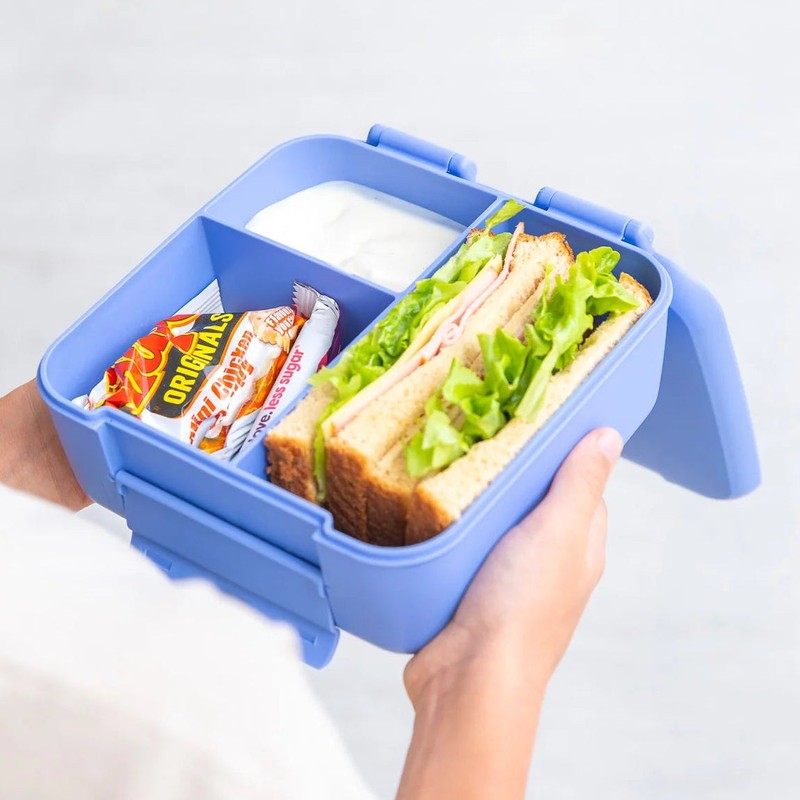 MontiiCo Bite Lunch Box, Splash