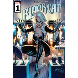 Black Cat 1 Comicbook Cover Poster 24X36 inches