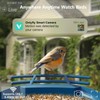 Bird Feeder with Camera Solar Powered : Smart Camera Bird