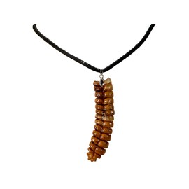 Real Rattlesnake Rattle Necklace: Black Cord