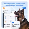 Tractive XL Smart Dog GPS Tracker | Live Pet Tracker