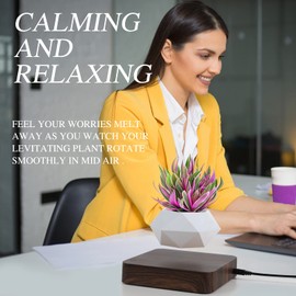 Babook Levitating Air Bonsai Pot,Cool Stuff, Rotation Flower Pot Planters, Potted Plant Home Desk Decor in Flower Pots & Planters from Home & Garden on (Dark Color)