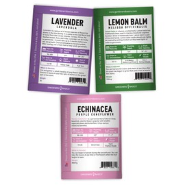 Gardeners Basics, Herbal Tea Seeds for Planting Indoors and Outdoors 5 Variety Packets Echinacea, Peppermint, Lavender, Chamomile and Lemon Balm - Great for Kitchen Herb Garden Heirloom Herb Seeds