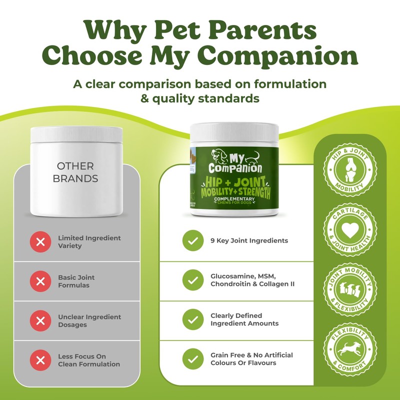 MyCompanion Hip & Joint Supplement for Dogs – Glucosamine, Turmeric