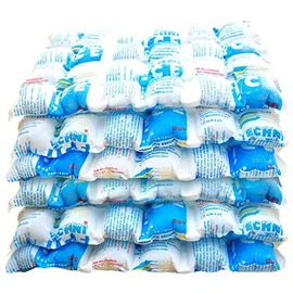 Techni Ice Heavy Duty Reusable Dry Ice packs (6 packs)
