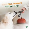 Benebone Pumpkin Spice Wishbone – Limited Edition Flavor, Durable Dog