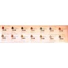 Nespresso 🎁 Nespresso OriginalLine Variety Welcome Sampler Pack 14 Coffee