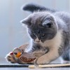 Ataica Chirping Bird Cat Toy with Electronic Sounds & Feathers